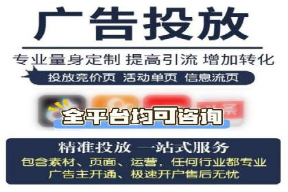 短视频平台的SEM推广实践与效果
